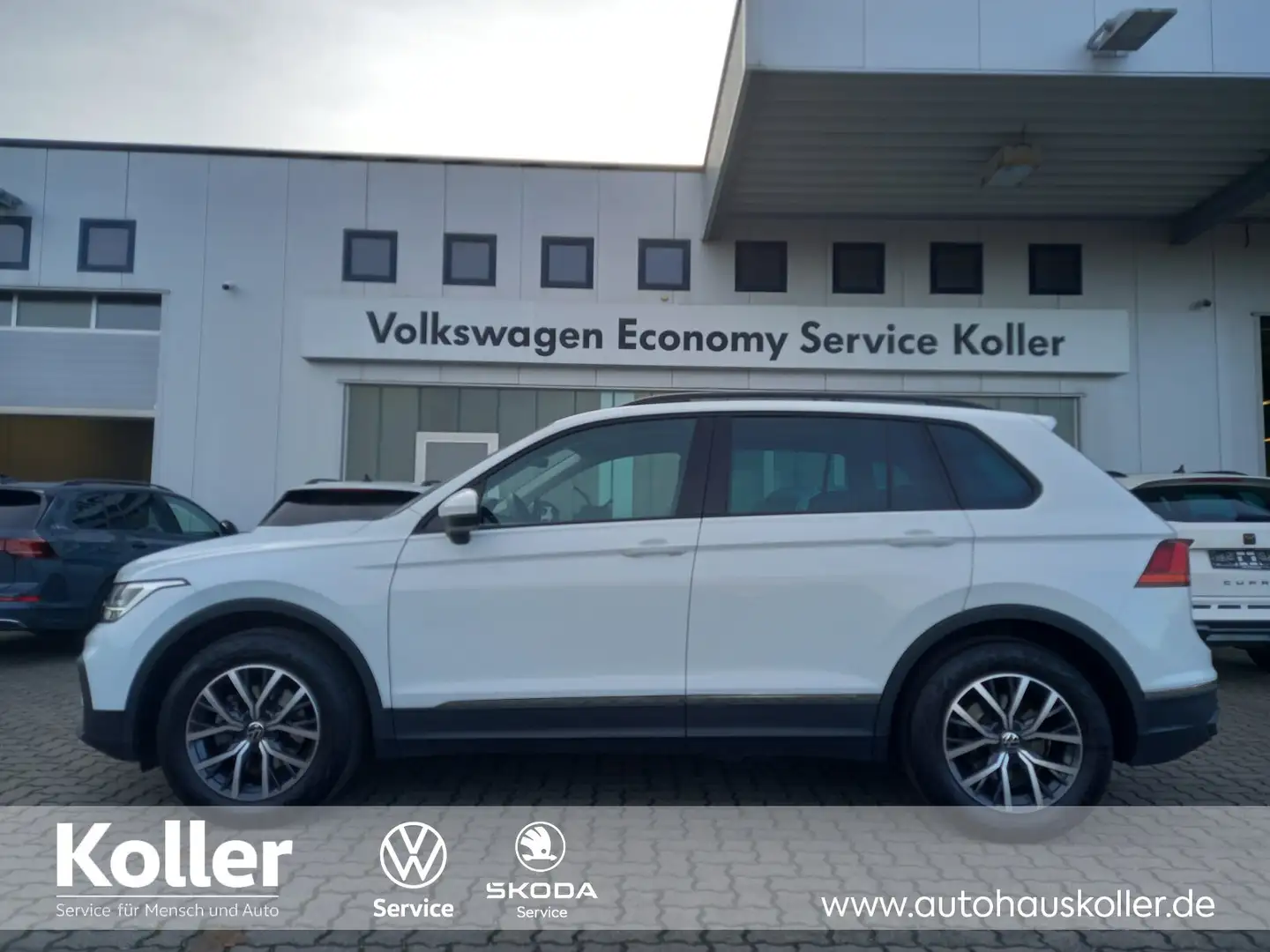 Volkswagen Tiguan Tiguan 1.5 TSI DSG Life Panoramadach Navi Kamera Blanc - 2