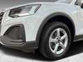 Audi Q2 35 1.5 TFSI LED Sitzheizung Einparkhilfe Blanc - thumbnail 6