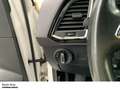 SEAT Ateca Xcellence 1.4 TSI Standhzg. AHK Alcantara Kamera Wit - thumbnail 18