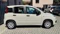Fiat Panda Panda III 1.2 Benzina GPL Easy easypower Gpl 69cv Beige - thumbnail 5