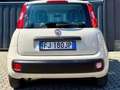 Fiat Panda Panda III 1.2 Benzina GPL Easy easypower Gpl 69cv Beige - thumbnail 6