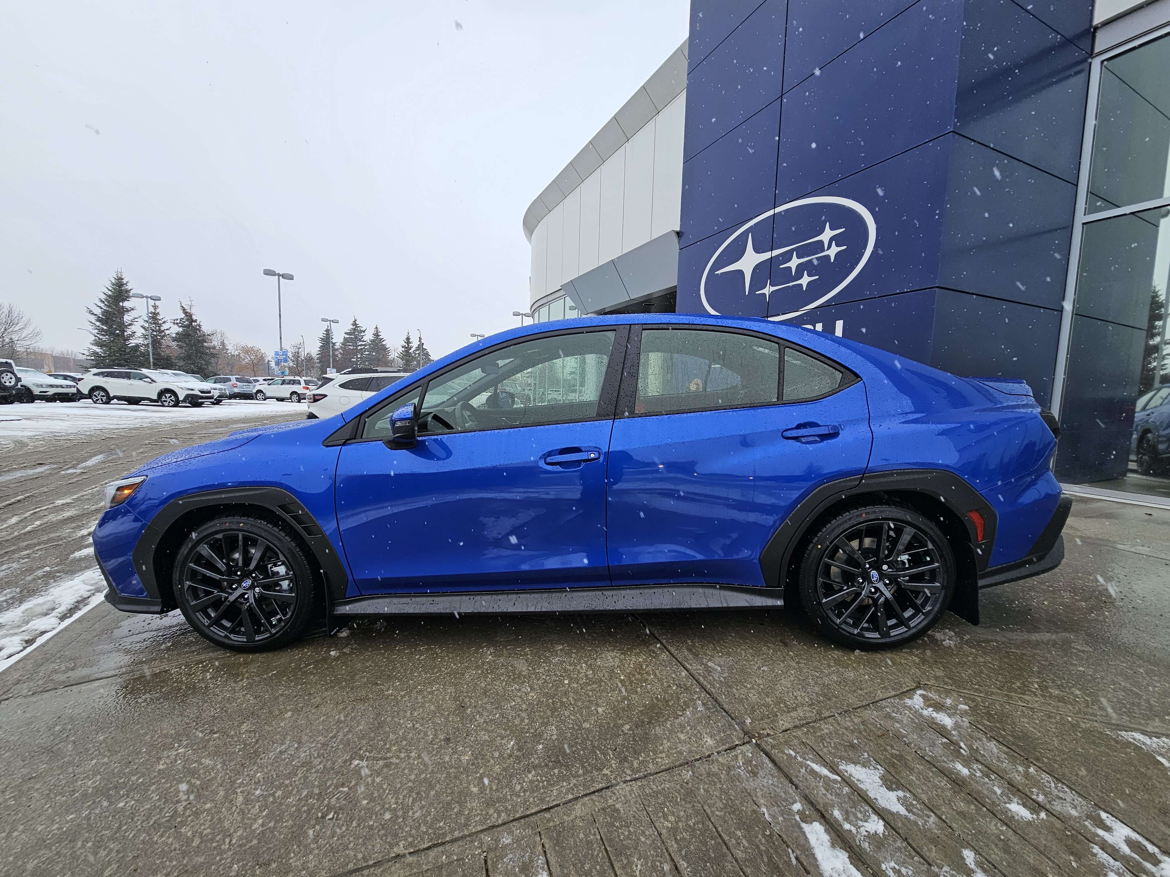 2026 Subaru WRX