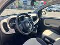 Fiat Panda 0.9 TwinAir Turbo Natural Power Easy Beige - thumbnail 10