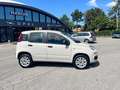Fiat Panda 0.9 TwinAir Turbo Natural Power Easy Beige - thumbnail 6