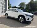 Mercedes-Benz EQA 300 EQA 300 4MATIC+PROGRESSIVE+R.KAM+TOTW.+DAB+LED+ Blanc - thumbnail 12