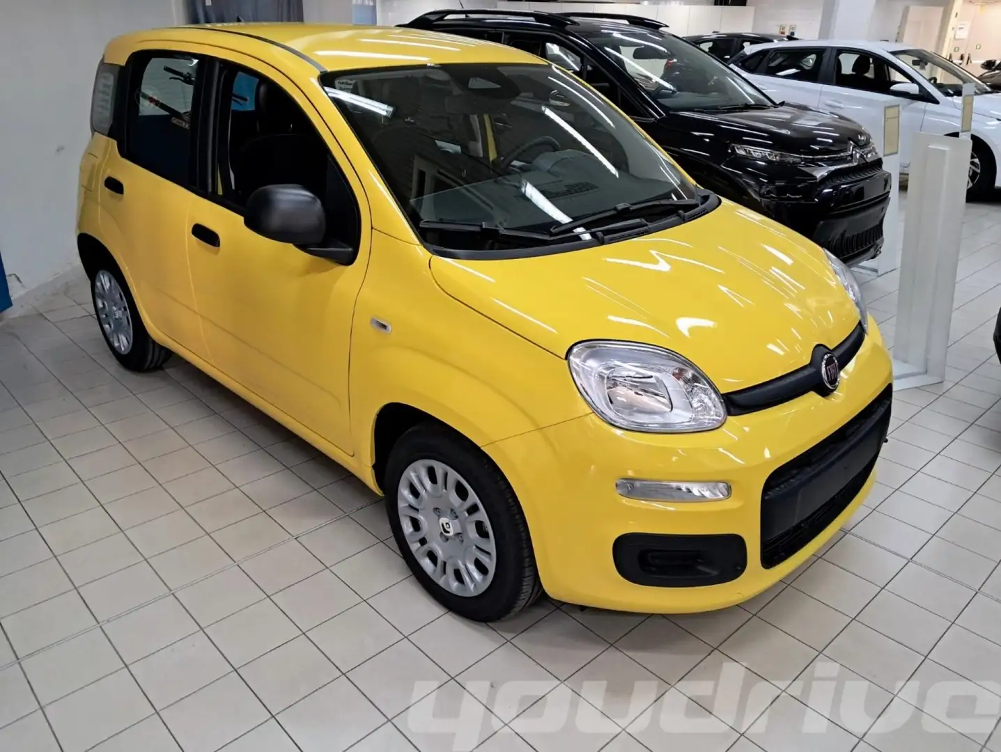 Fiat New Panda 1.0 FireFly S&S Hybrid Pop KM0 Giallo - 2
