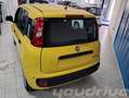 Fiat New Panda 1.0 FireFly S&S Hybrid Pop KM0 Giallo - thumbnail 4