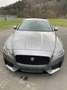 Jaguar XF 20d AWD Sportbrake Aut. Chequered Flag Grau - thumbnail 5
