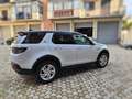 Land Rover Discovery Sport 2.0d i4 mhev S awd 150cv auto - thumbnail 3