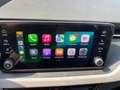 Skoda Scala DSG*5J.GARANTIE*AHK*elektr.Heckklappe*MATRIX*W-Pak Silber - thumbnail 33