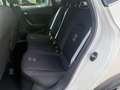 SEAT Arona 1.0 TSI Xcellence Business Intense Blanc - thumbnail 14