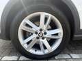 SEAT Arona 1.0 TSI Xcellence Business Intense Blanc - thumbnail 17
