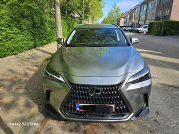 NX 450h 2.5i AWD Executive Line E-CVT (227 kW) Ex