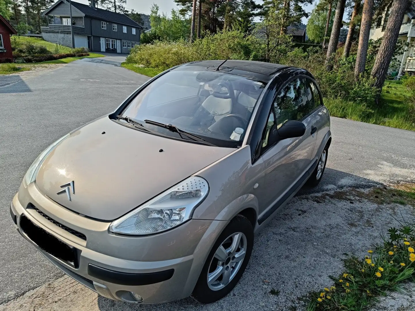 Citroen C3 C3 Pluriel 1.4 Exclusive Gold-Edition Beige - 1