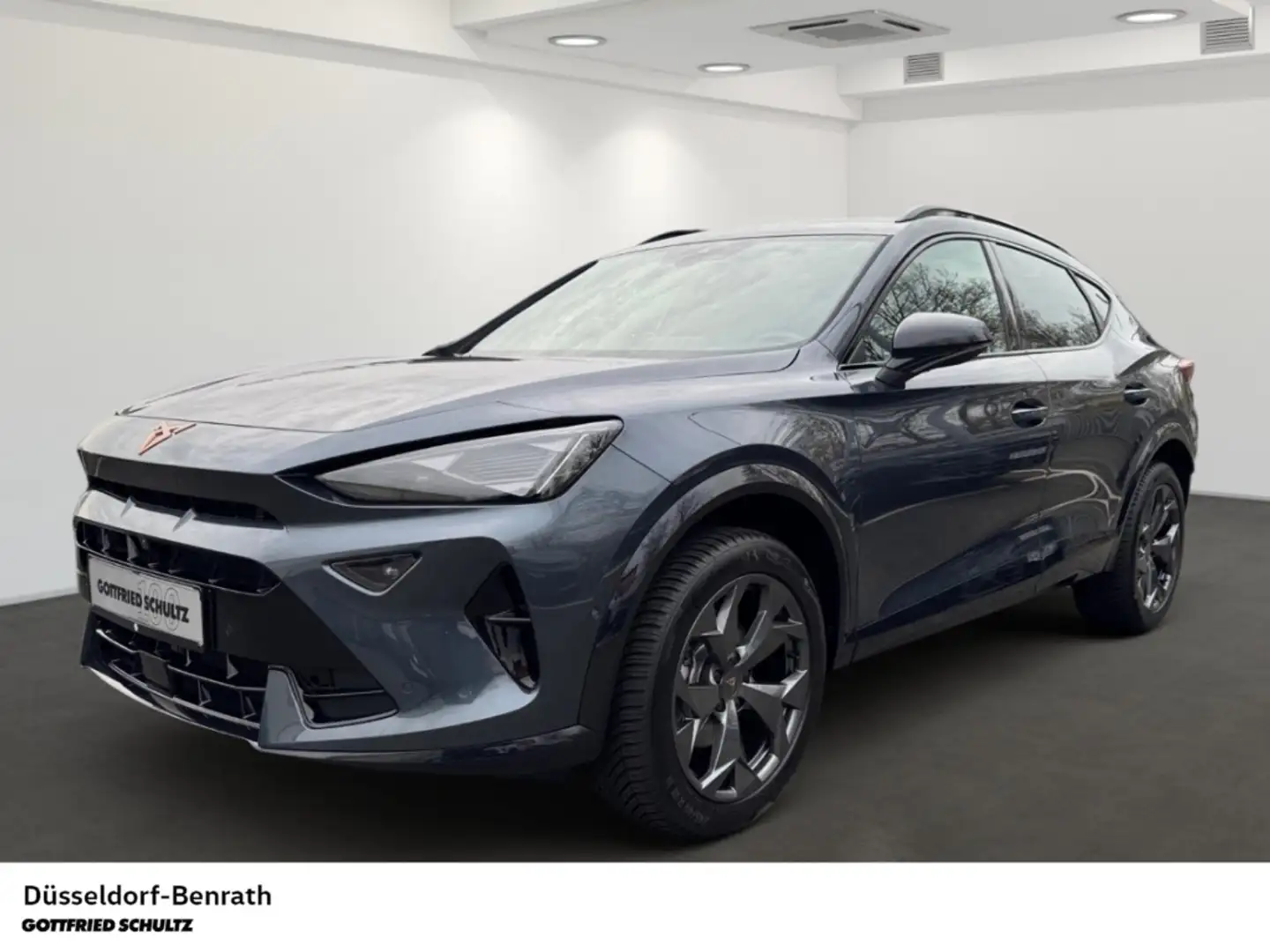 CUPRA Formentor 2.0 TDI DSG Voll-LED Navi Full-Link Einparkhilfe Grau - 1