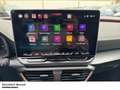 CUPRA Formentor 2.0 TDI DSG Voll-LED Navi Full-Link Einparkhilfe Gris - thumbnail 14