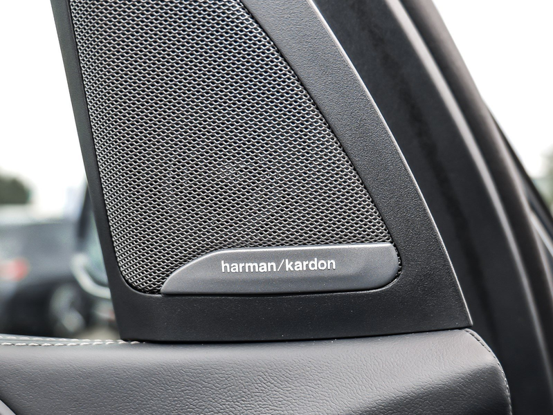 BMW X7 xDrive40d M Sport HUD PANO ACC AHK RFK NAVI — photo 13
