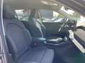 Skoda Kodiaq TDI DSG 4x4 Selection Matrix Navi AHZV Grau - thumbnail 6