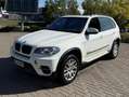 BMW X5 X5 Diesel xDrive30d Edition Exclusive Weiß - thumbnail 1
