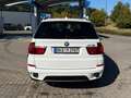 BMW X5 X5 Diesel xDrive30d Edition Exclusive Weiß - thumbnail 4