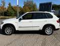 BMW X5 X5 Diesel xDrive30d Edition Exclusive Weiß - thumbnail 6