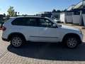BMW X5 X5 Diesel xDrive30d Edition Exclusive Weiß - thumbnail 5