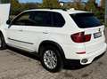 BMW X5 X5 Diesel xDrive30d Edition Exclusive Weiß - thumbnail 7