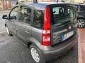 Fiat Panda 1.2 Dynamic 69cv E5 Grigio - thumbnail 7