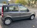 Fiat Panda 1.2 Dynamic 69cv E5 Grigio - thumbnail 4