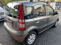 Fiat Panda 1.2 Dynamic 69cv E5 Grigio - thumbnail 5