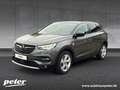 Opel Grandland X Grandland X 1.5 D Opel 2020 Klimaautomatik Sitzheizung Grau - thumbnail 1