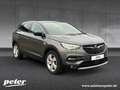Opel Grandland X Grandland X 1.5 D Opel 2020 Klimaautomatik Sitzheizung Grau - thumbnail 5