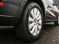 SEAT Arona 1.0 TSI Style Navi/RFK/LED Schwarz - thumbnail 5