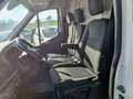 Ford Transit 350 TDCi EcoBlue 170CV PM-TM - thumbnail 8
