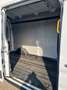 Ford Transit 350 TDCi EcoBlue 170CV PM-TM - thumbnail 9