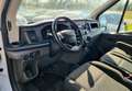 Ford Transit 350 TDCi EcoBlue 170CV PM-TM - thumbnail 7