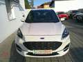 Ford Kuga 2,0 EcoBlue AWD ST-Line X Aut. Weiß - thumbnail 11