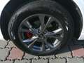 Ford Kuga 2,0 EcoBlue AWD ST-Line X Aut. Weiß - thumbnail 13