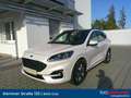 Ford Kuga 2,0 EcoBlue AWD ST-Line X Aut. Weiß - thumbnail 1