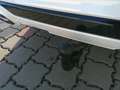 Ford Kuga 2,0 EcoBlue AWD ST-Line X Aut. Weiß - thumbnail 8