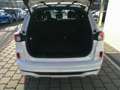 Ford Kuga 2,0 EcoBlue AWD ST-Line X Aut. Weiß - thumbnail 4