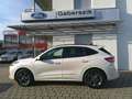 Ford Kuga 2,0 EcoBlue AWD ST-Line X Aut. Weiß - thumbnail 2