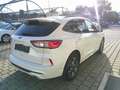 Ford Kuga 2,0 EcoBlue AWD ST-Line X Aut. Weiß - thumbnail 9