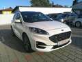 Ford Kuga 2,0 EcoBlue AWD ST-Line X Aut. Weiß - thumbnail 10