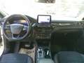 Ford Kuga 2,0 EcoBlue AWD ST-Line X Aut. Weiß - thumbnail 19