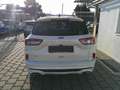 Ford Kuga 2,0 EcoBlue AWD ST-Line X Aut. Weiß - thumbnail 3
