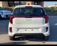 Kia Picanto 1.0 mpi Gpl Urban Bianco - thumbnail 6