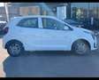 Kia Picanto 1.0 mpi Gpl Urban Bianco - thumbnail 4