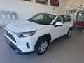 Toyota RAV 4 2.5 hybrid 4WD Business Blanco - thumbnail 12