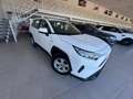 Toyota RAV 4 2.5 hybrid 4WD Business Blanco - thumbnail 6